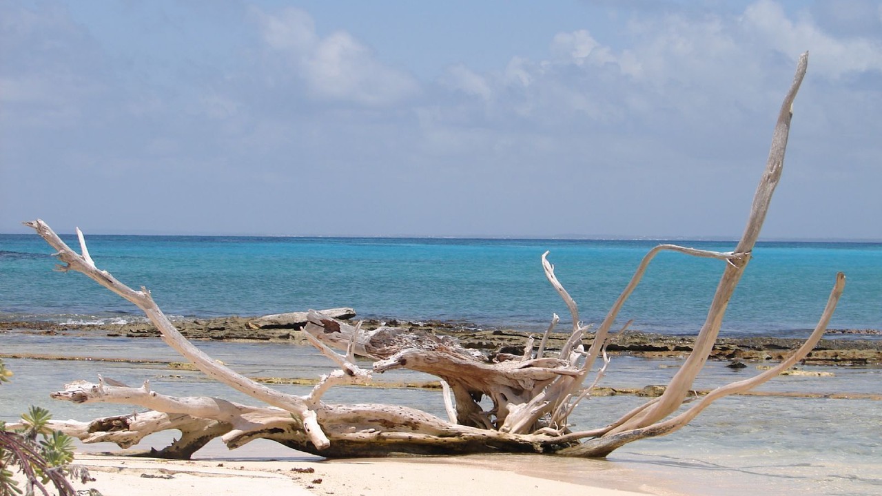 Photo of Others in Saint-Laurent-d'Aigouze