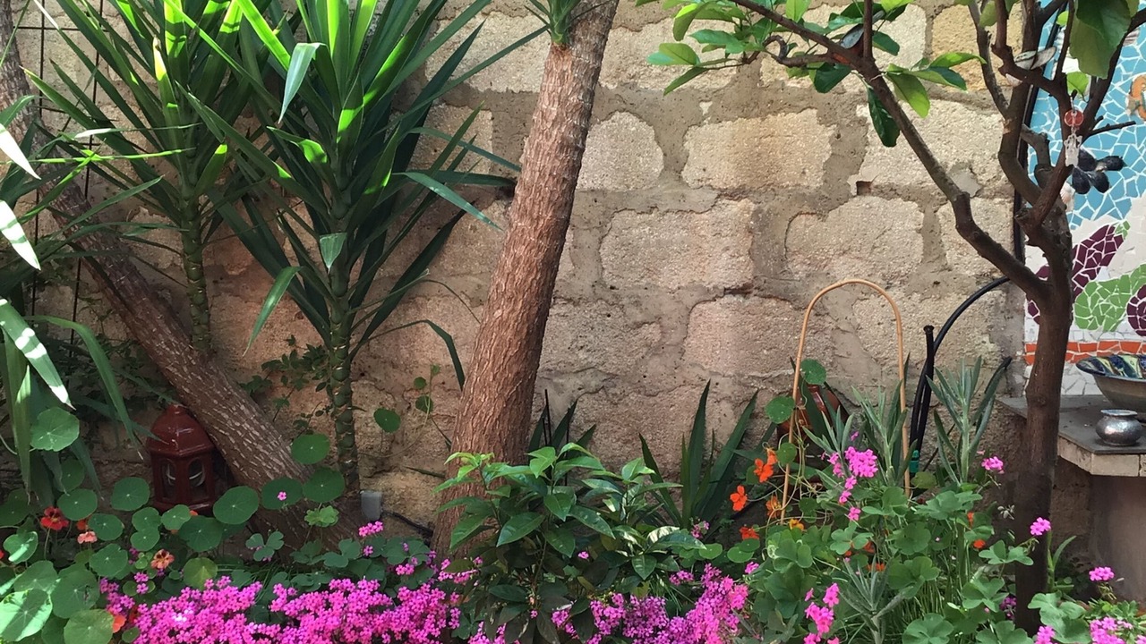 Photo of Outdoor in Saint-Laurent-d'Aigouze