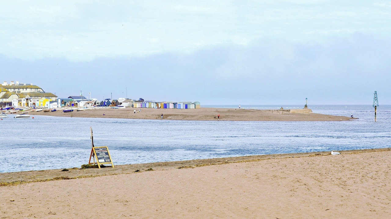 Photo of Others in Shaldon