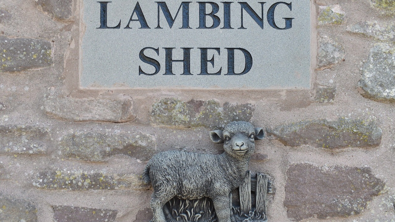 Photo of Others in Lydney