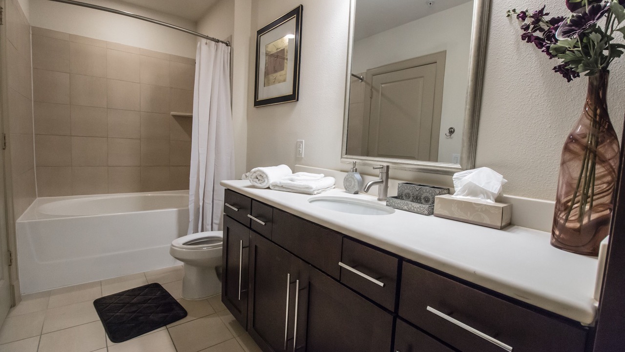 Photo of Bathroom in Texas Medical Center