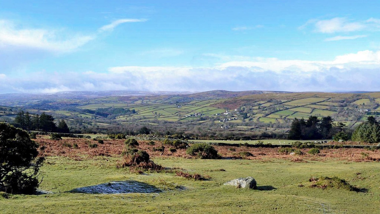 Photo of Others in Newton Abbot