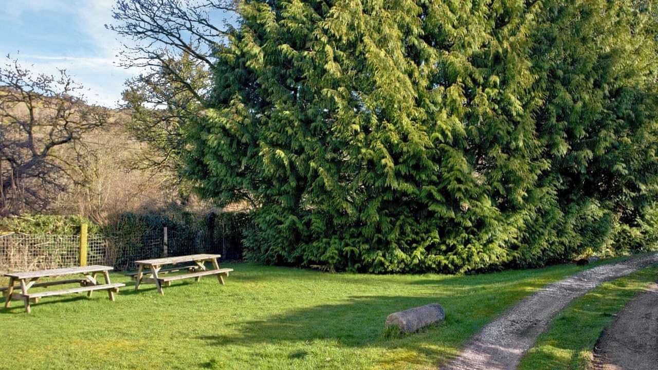 Photo of Outdoor in Newton Abbot