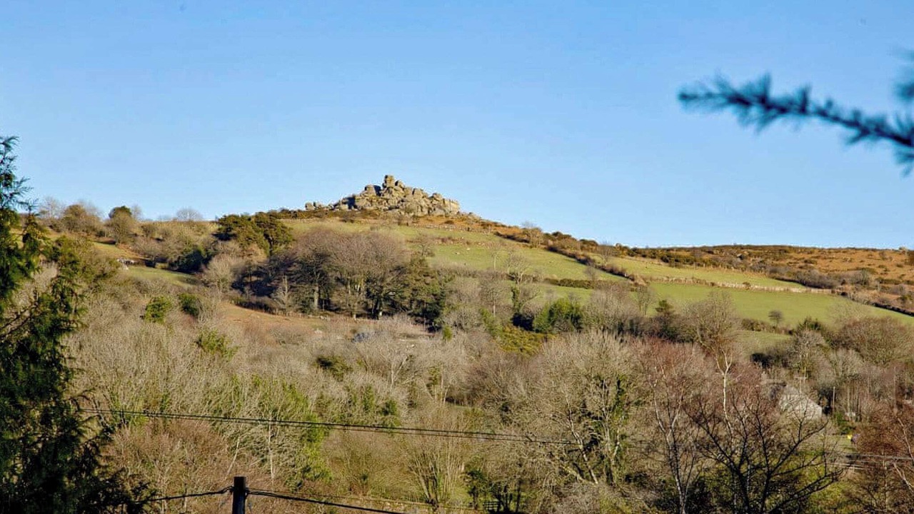 Photo of Others in Newton Abbot