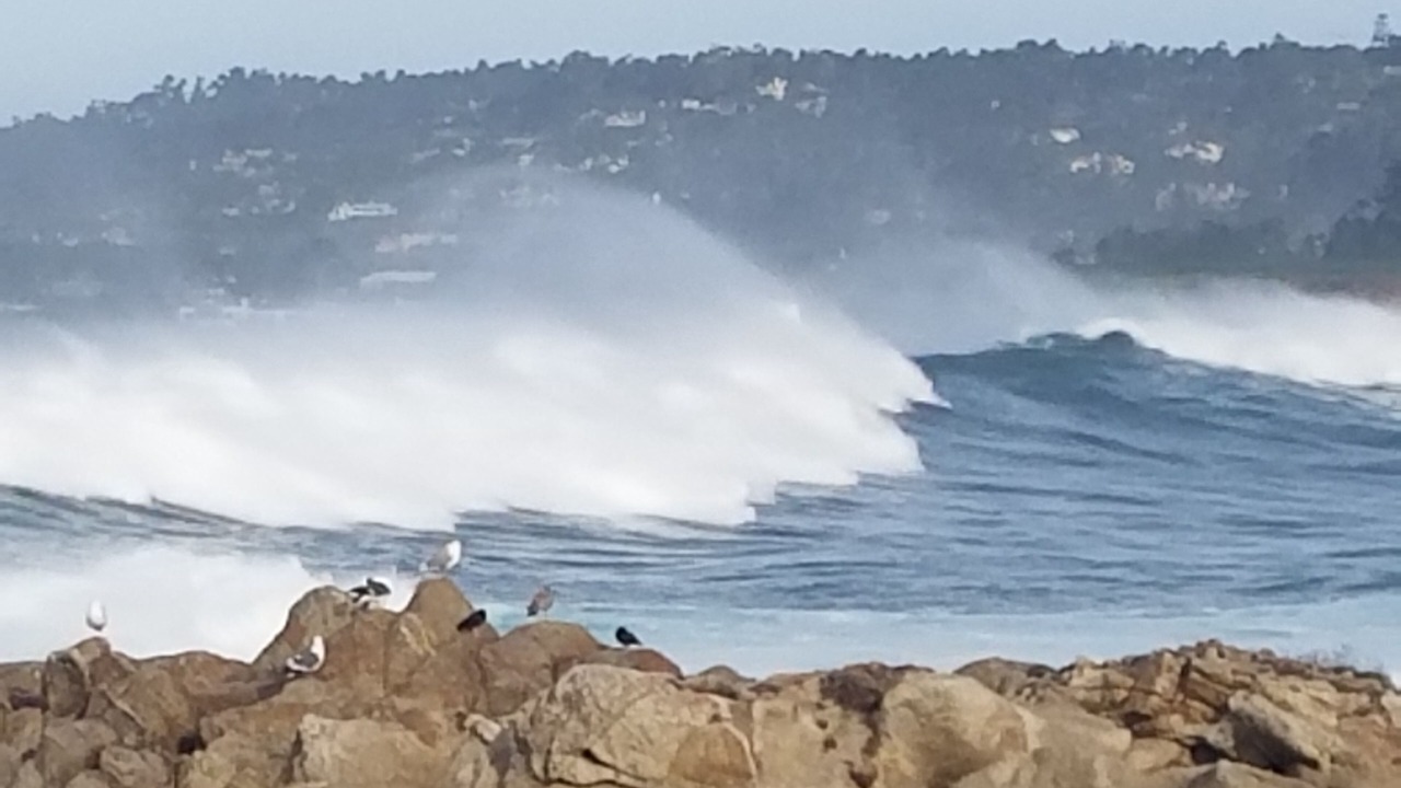 Photo of Others in Carmel