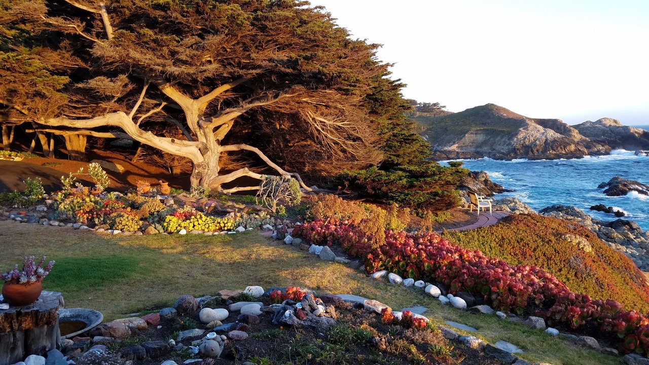 Photo of Outdoor in Carmel