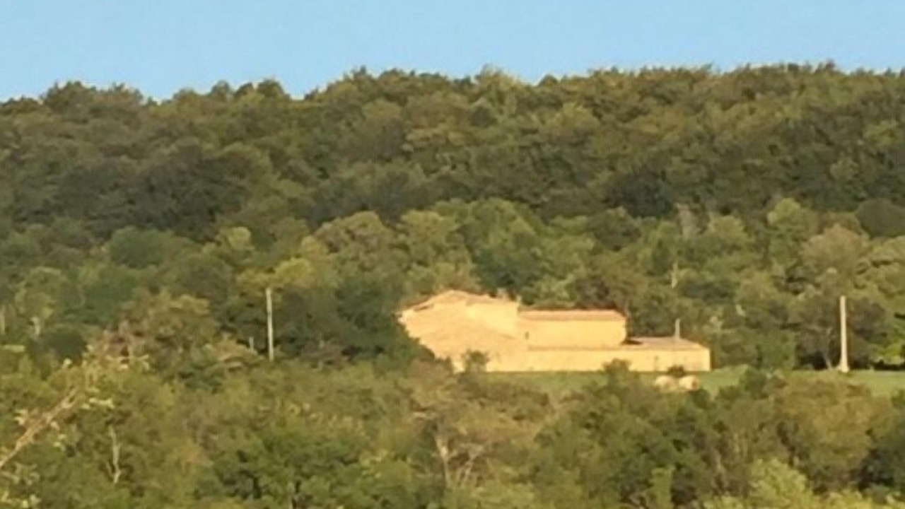 Photo of Others in Comps