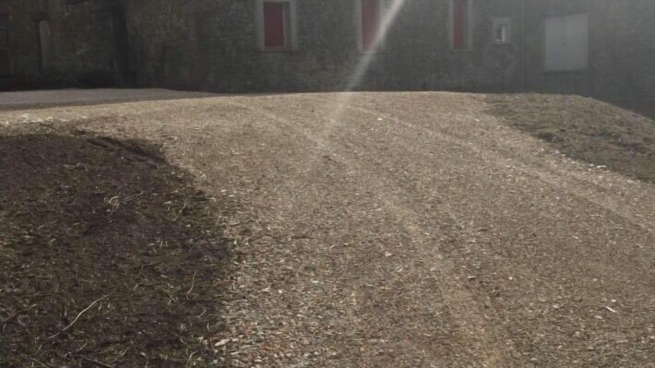 Photo of Outdoor in Comps