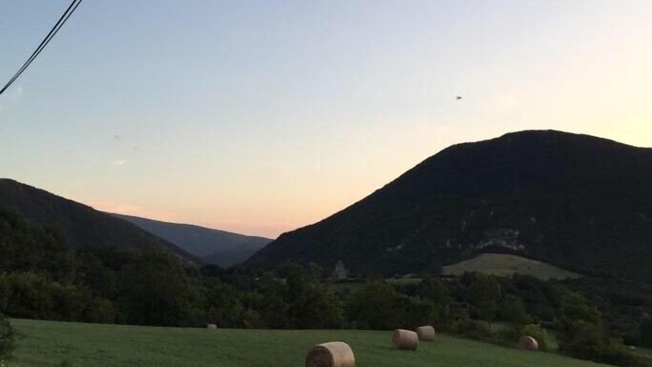 Photo of Others in Comps