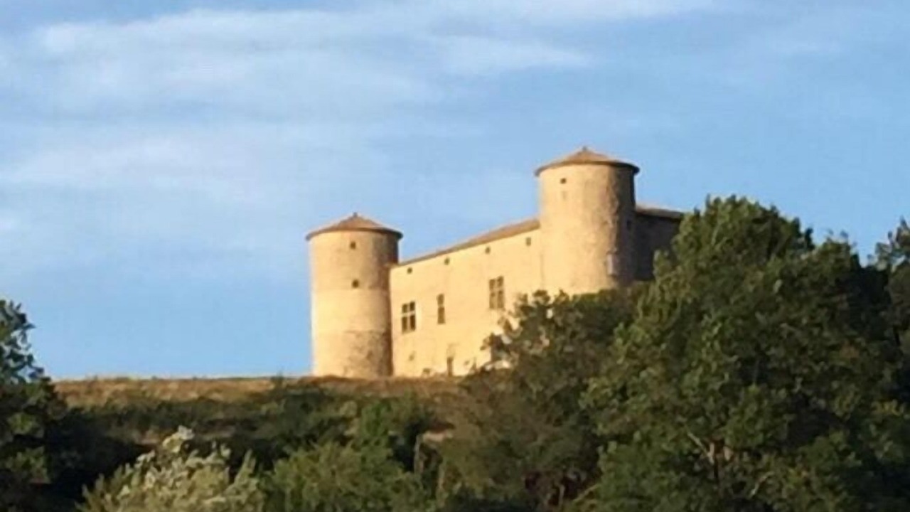 Photo of Others in Comps