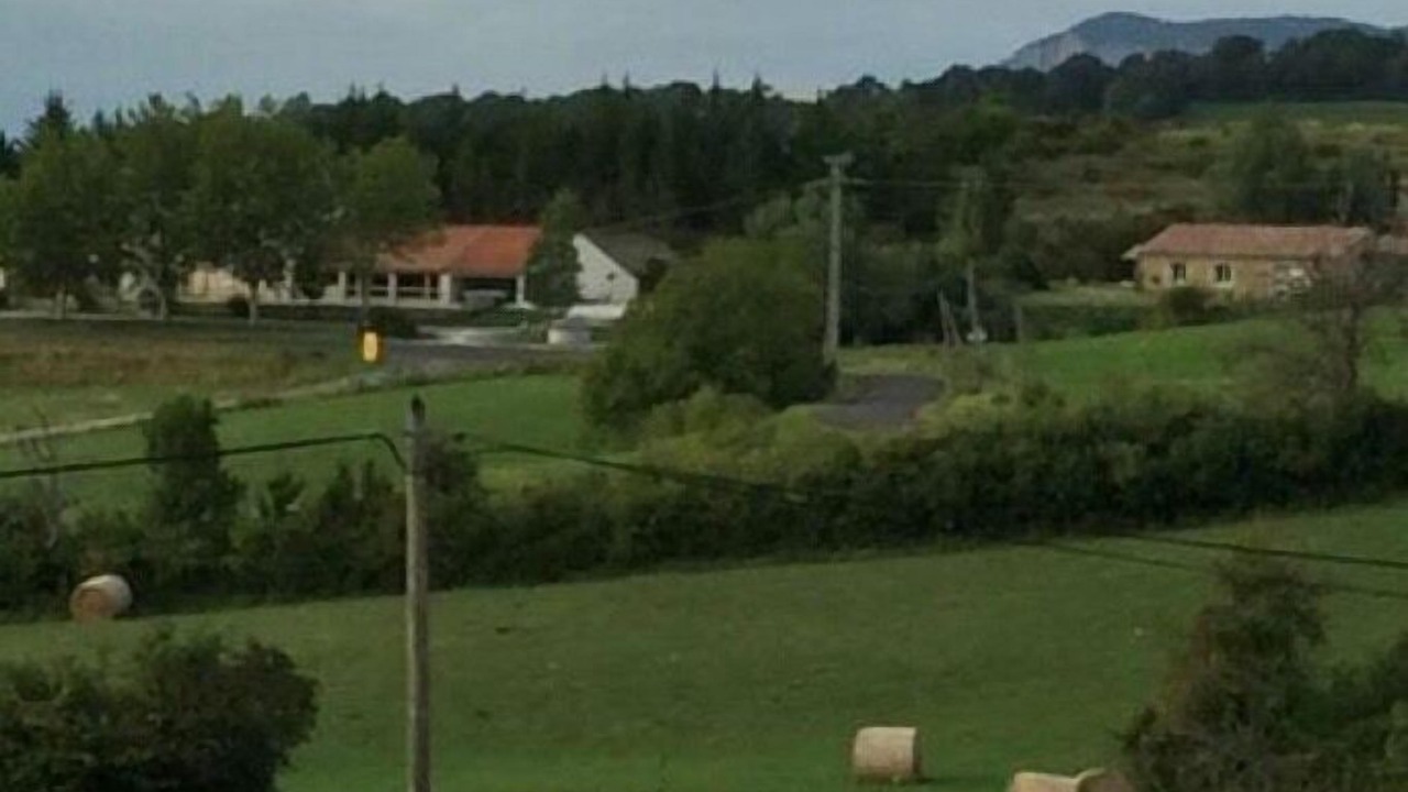 Photo of Others in Comps