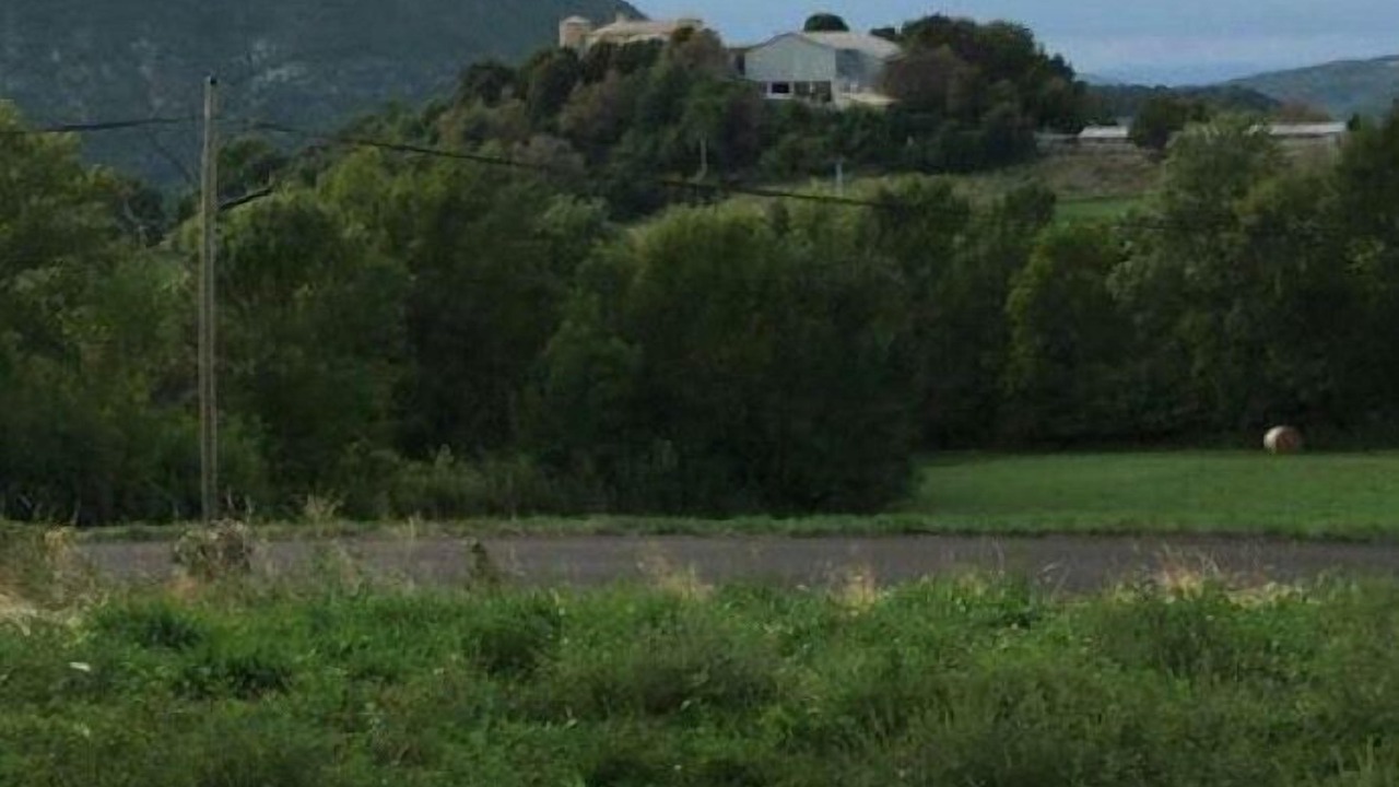 Photo of Outdoor in Comps