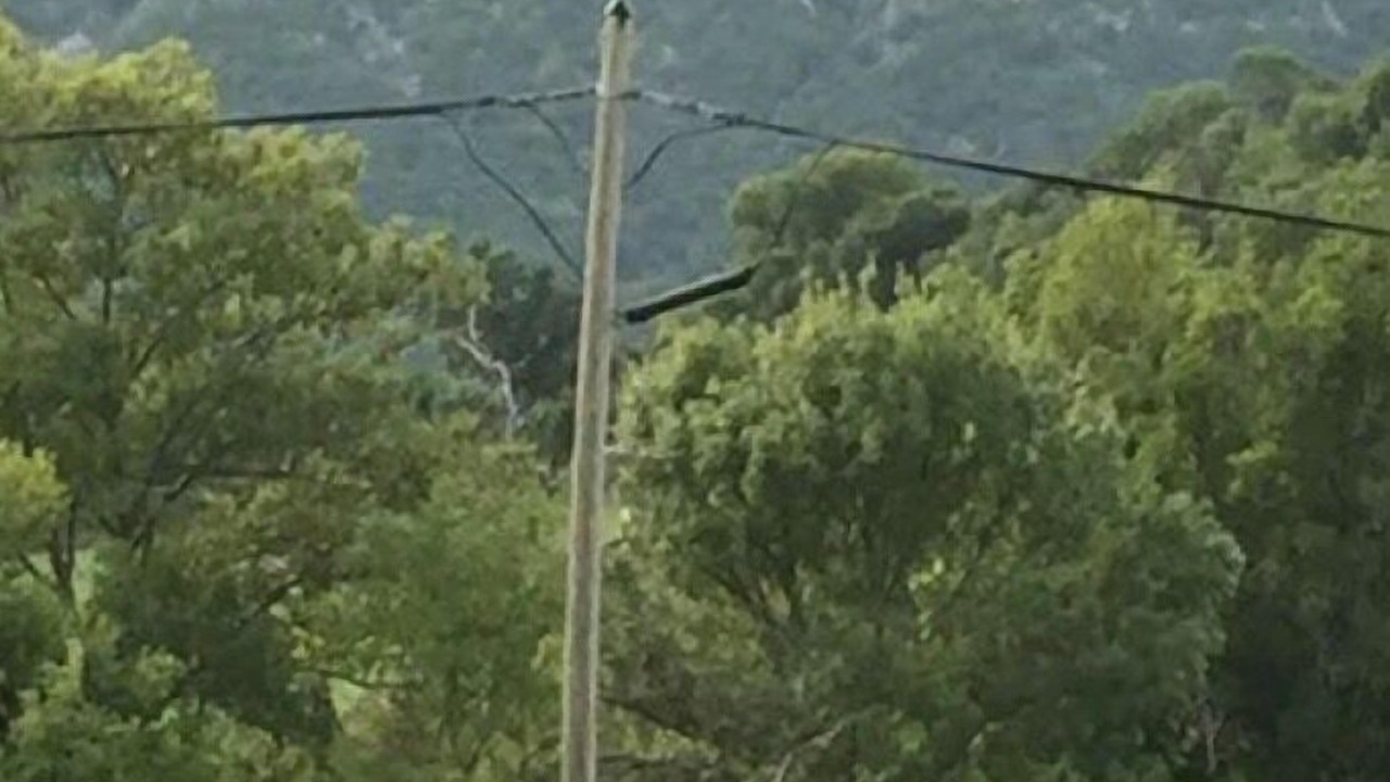 Photo of Outdoor in Comps