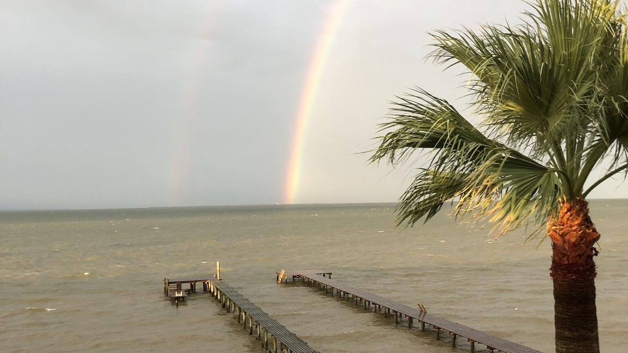 Photo of Others in Bacliff