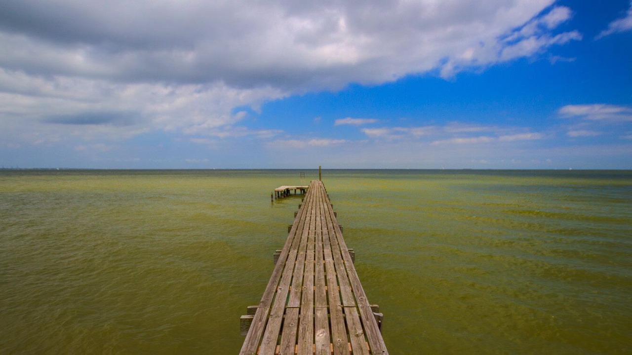 Photo of Others in Bacliff