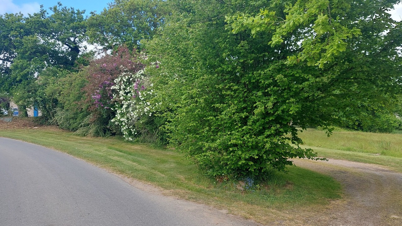 Photo of Outdoor in Megrit