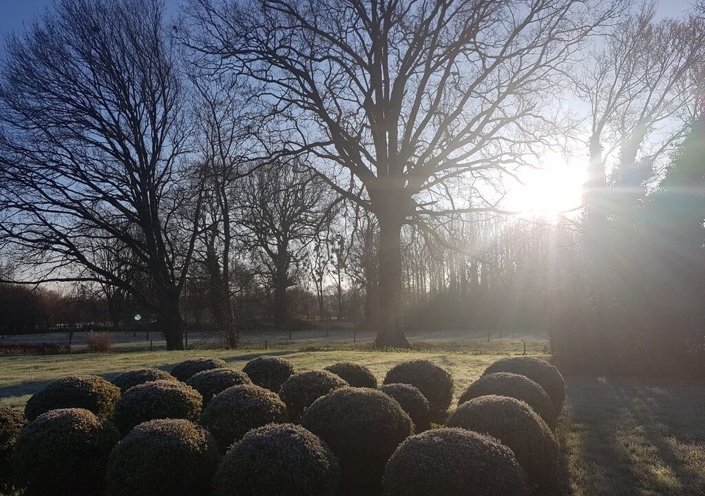 Photo of Others in Saint-Celerin