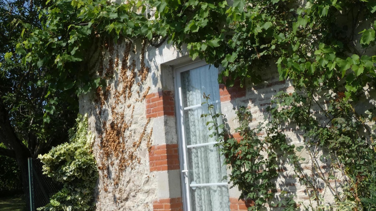Photo of Outdoor in Penne-d'Agenais