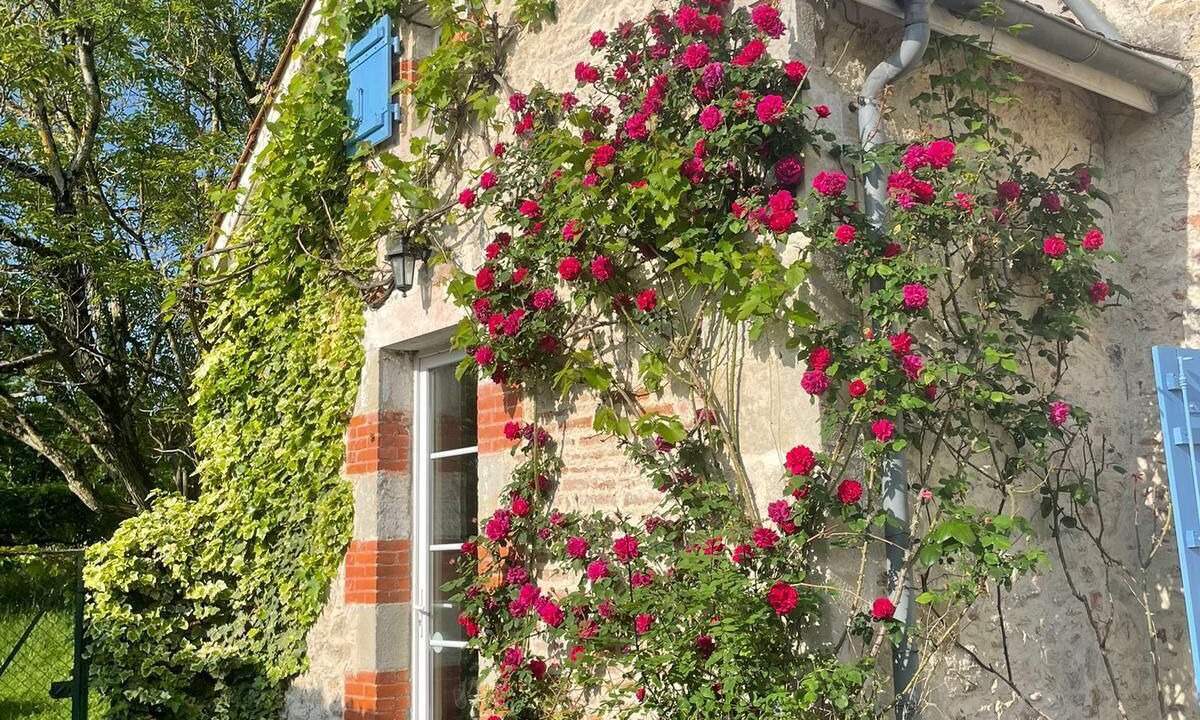 Photo of Outdoor in Penne-d'Agenais