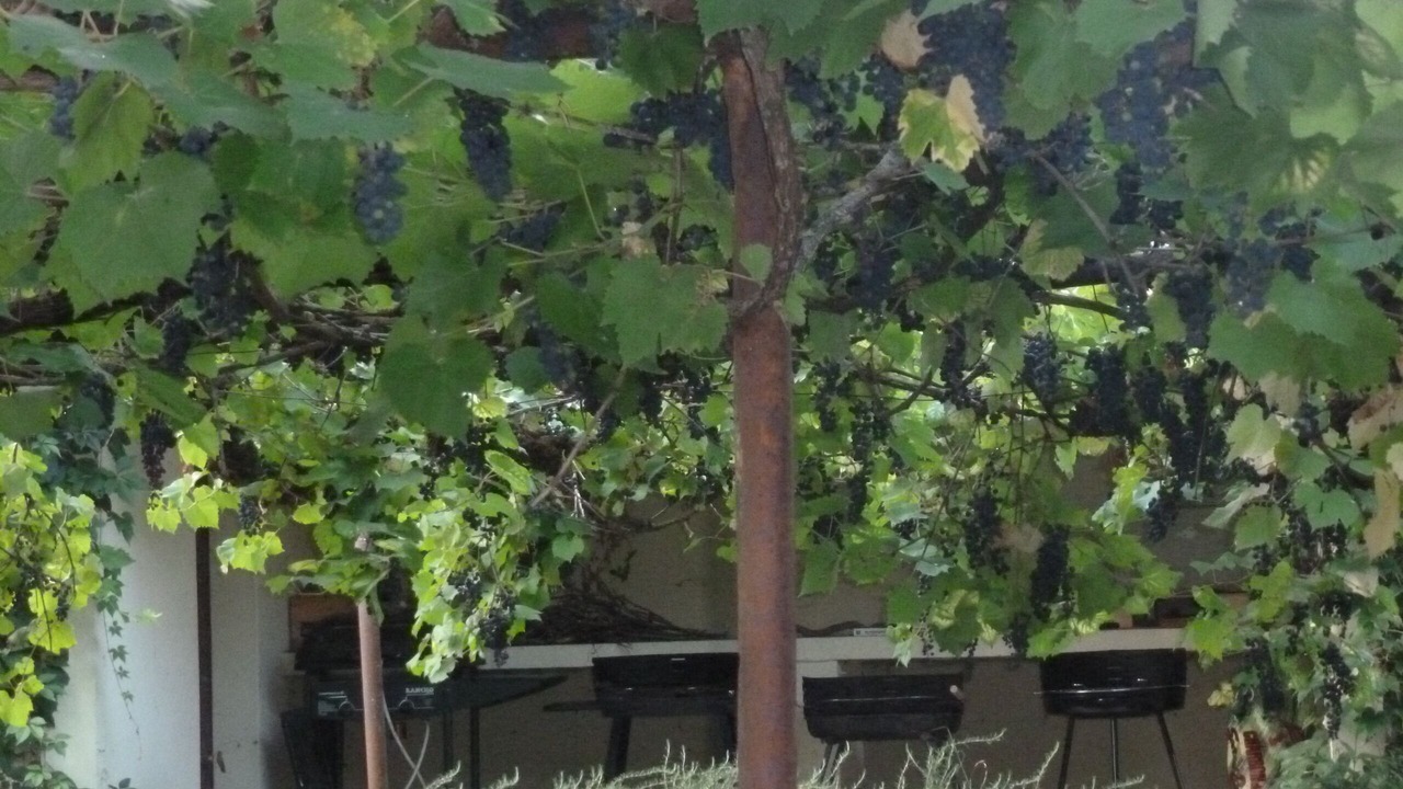 Photo of Outdoor in Penne-d'Agenais