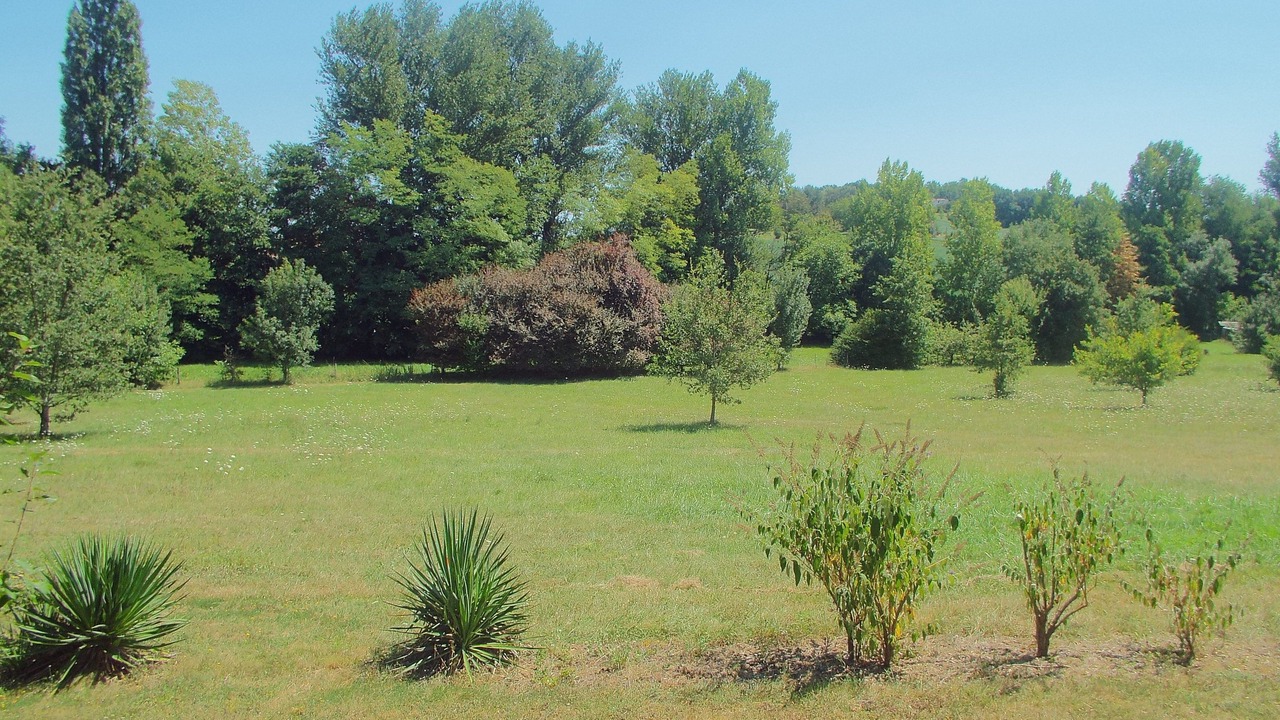 Photo of Others in Penne-d'Agenais