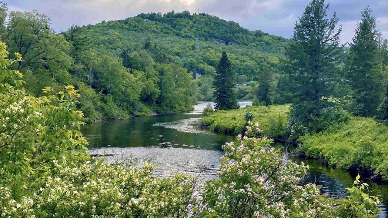 Photo of Outdoor in Piedmont