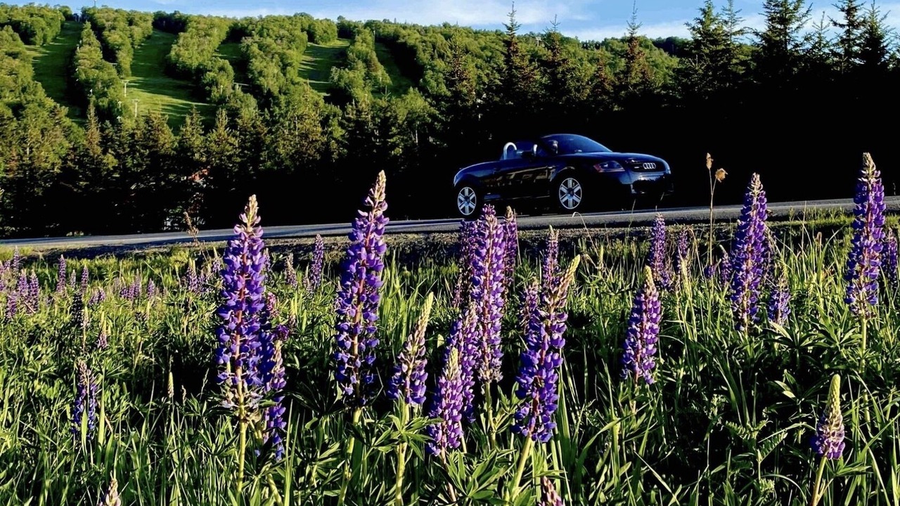 Photo of Outdoor in Piedmont