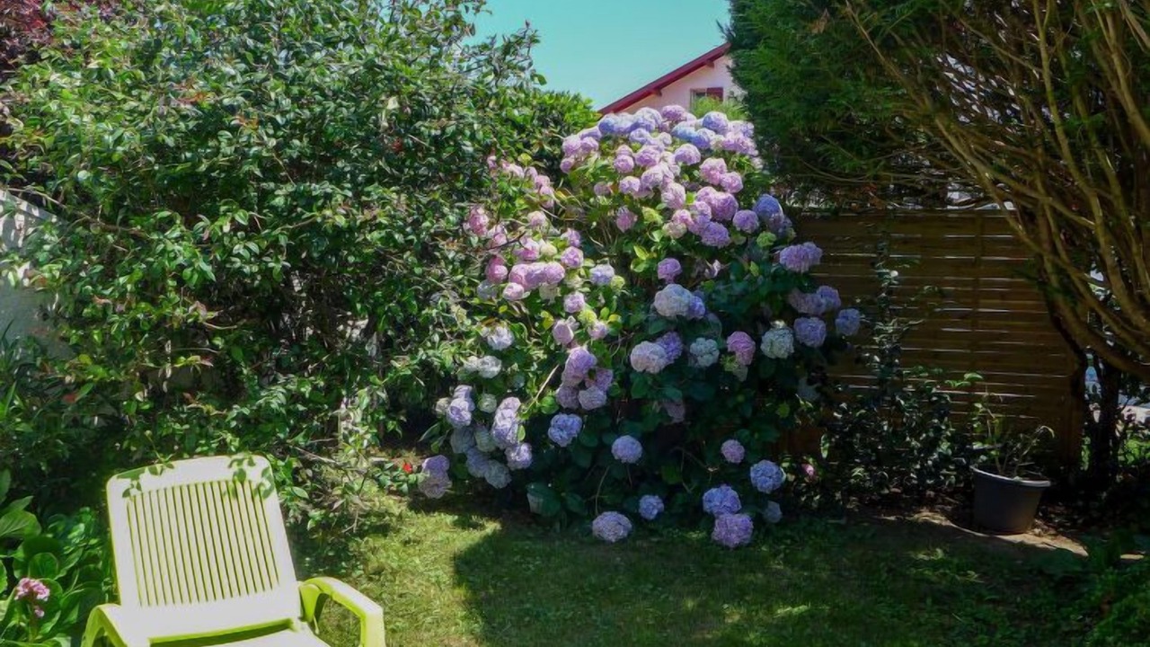 Photo of Others in Bidart