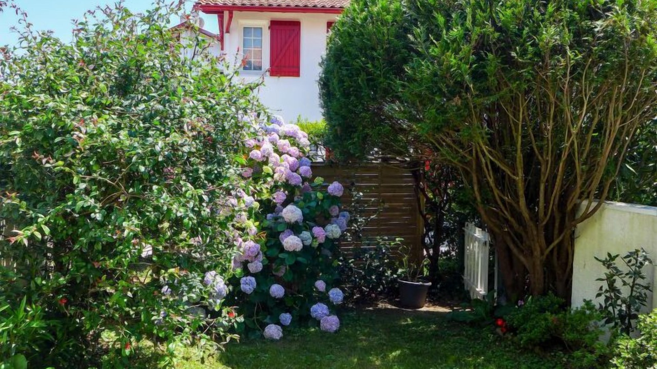 Photo of Others in Bidart