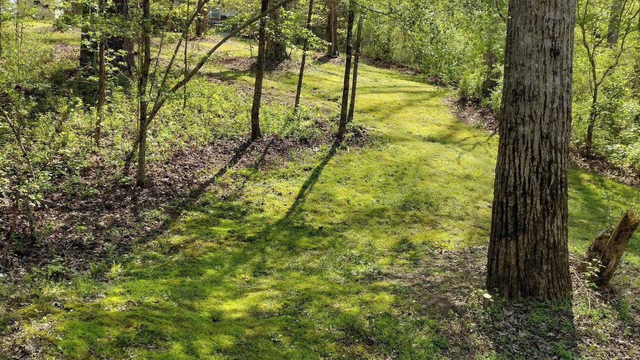 Photo of Others in Rockdale County