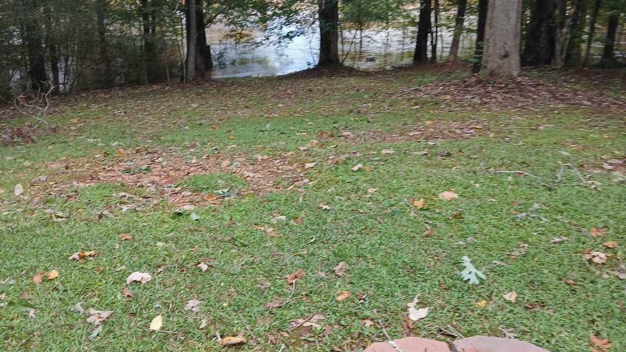 Photo of Livingroom in Rockdale County