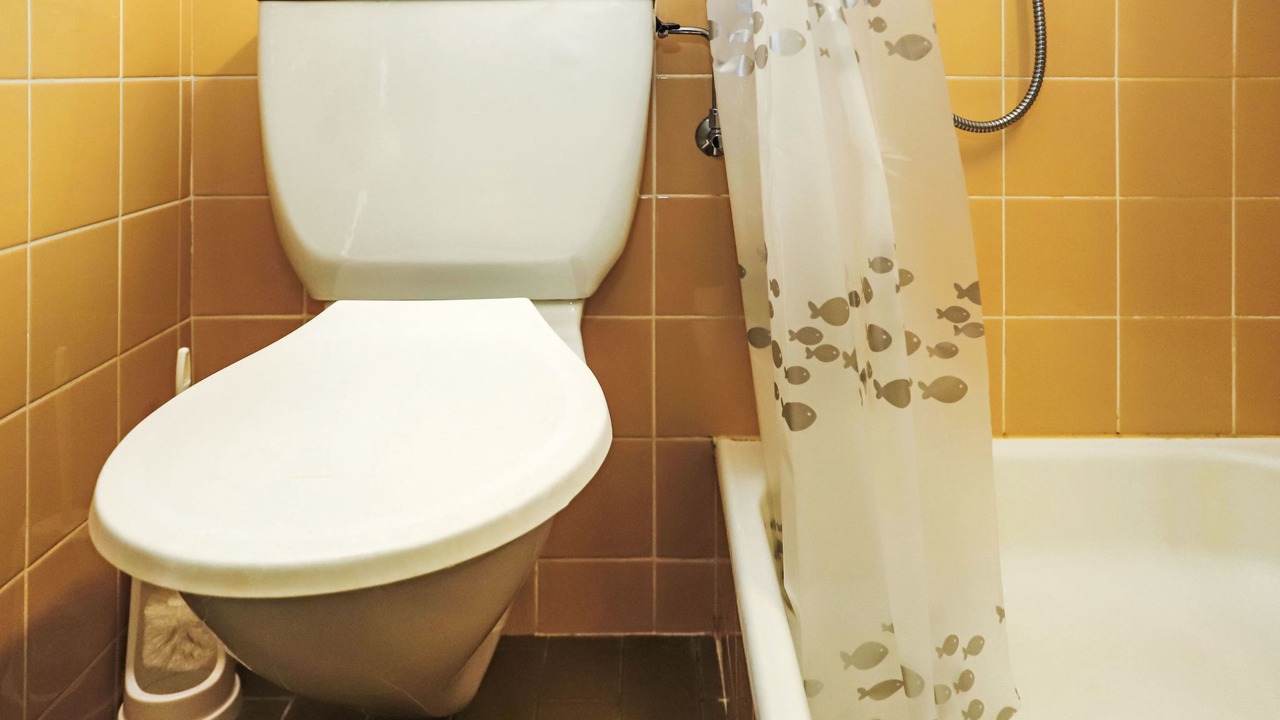 Photo of Bathroom in Noveli
