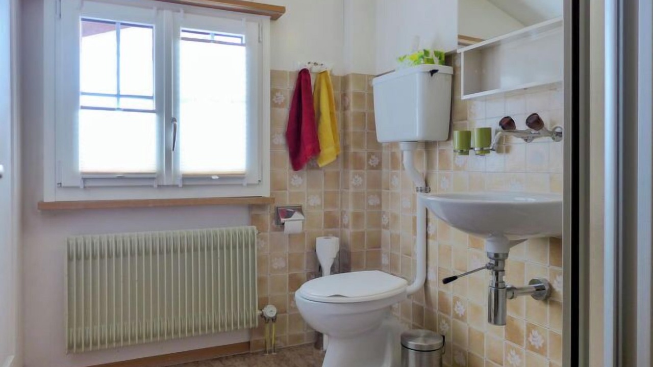 Photo of Bathroom in Lenk