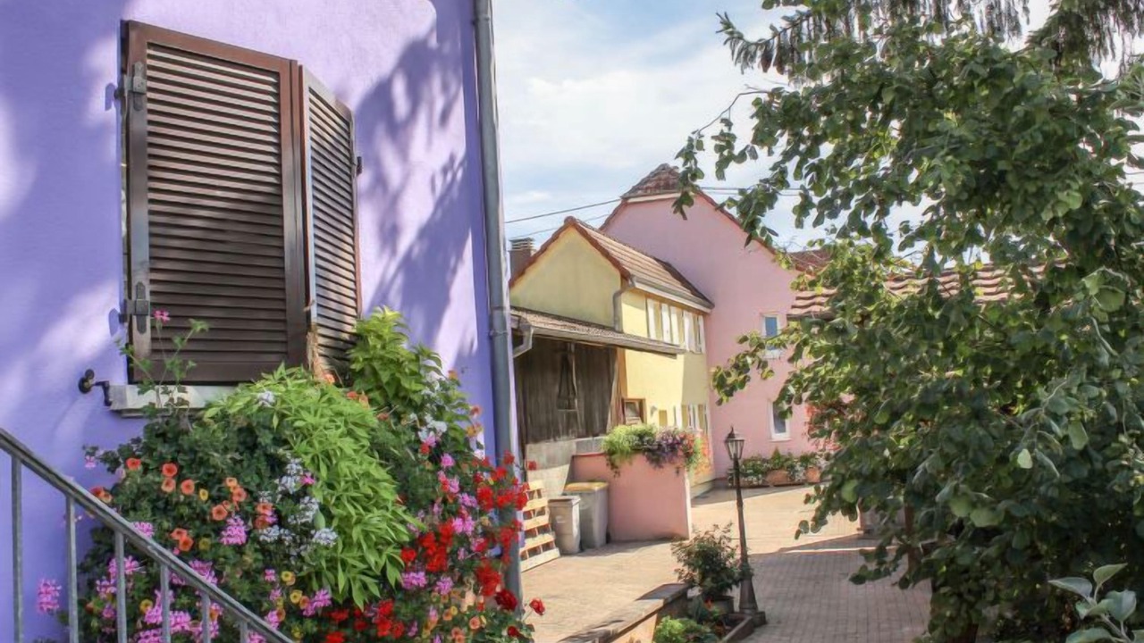 Photo of Outdoor in Marckolsheim