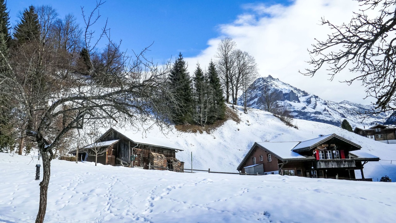 Photo of Others in Grindelwald