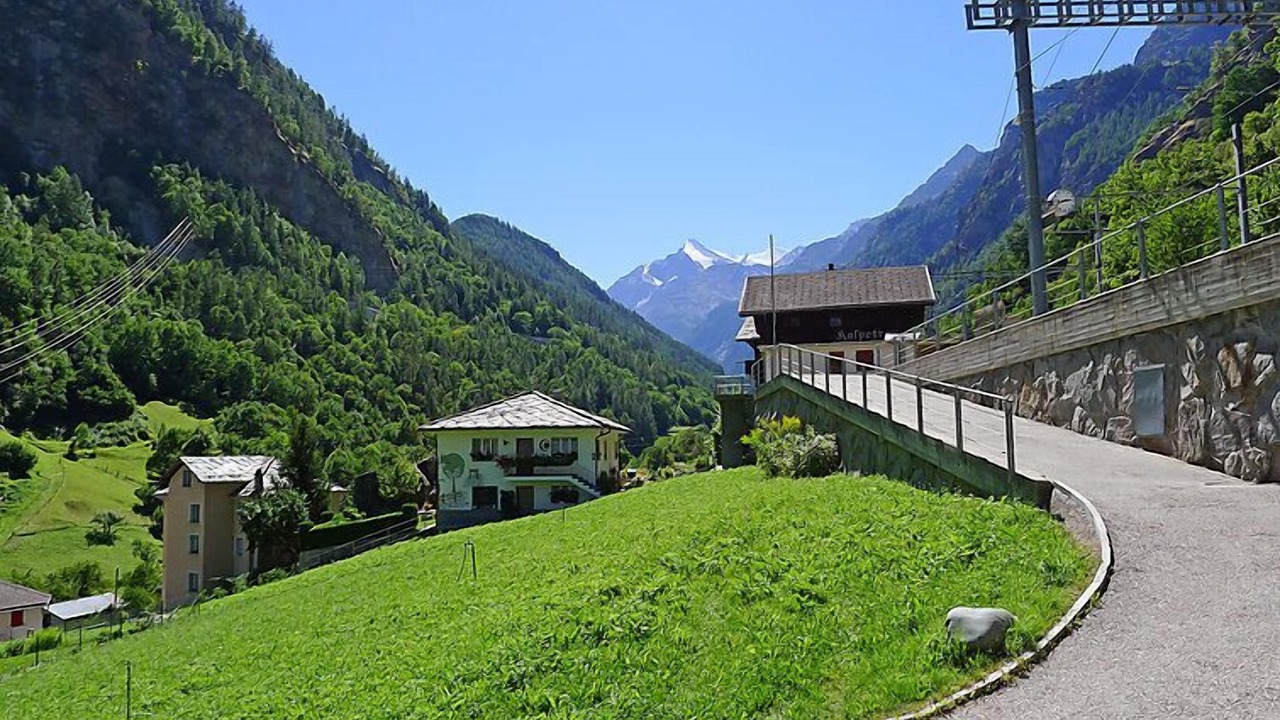 Photo of Others in Embd