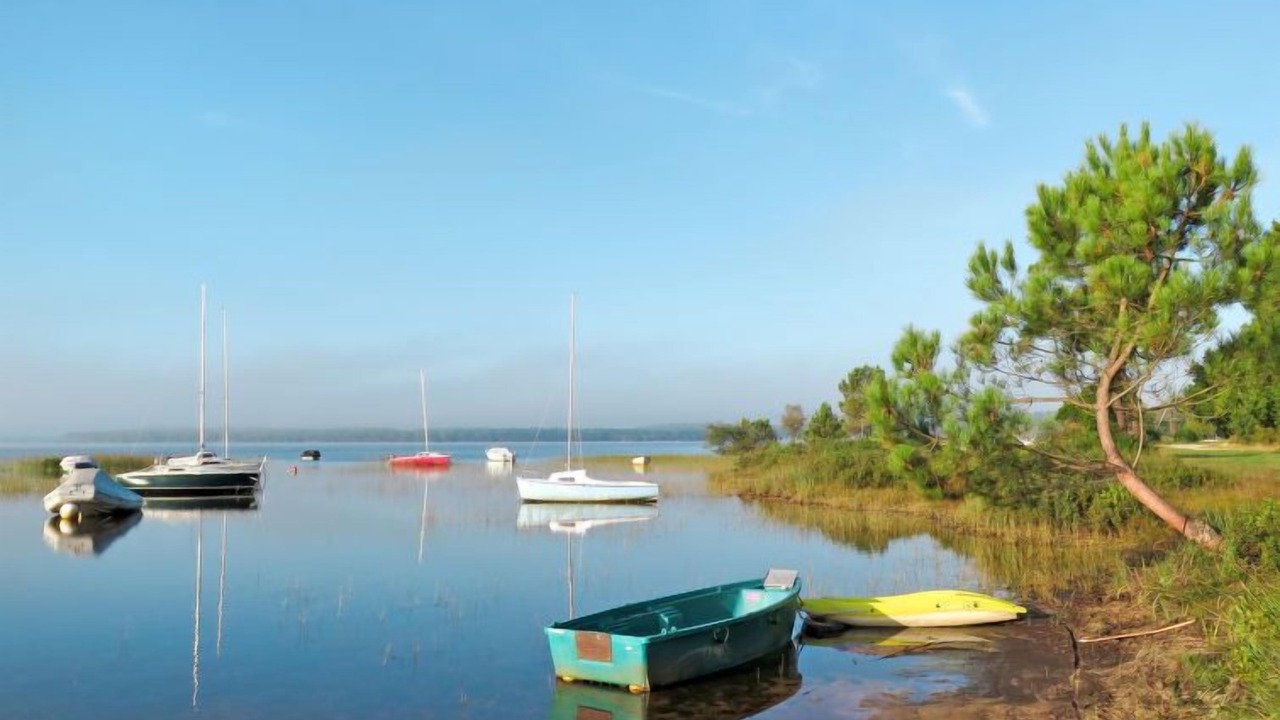 Photo of Others in Lacanau-Ocean