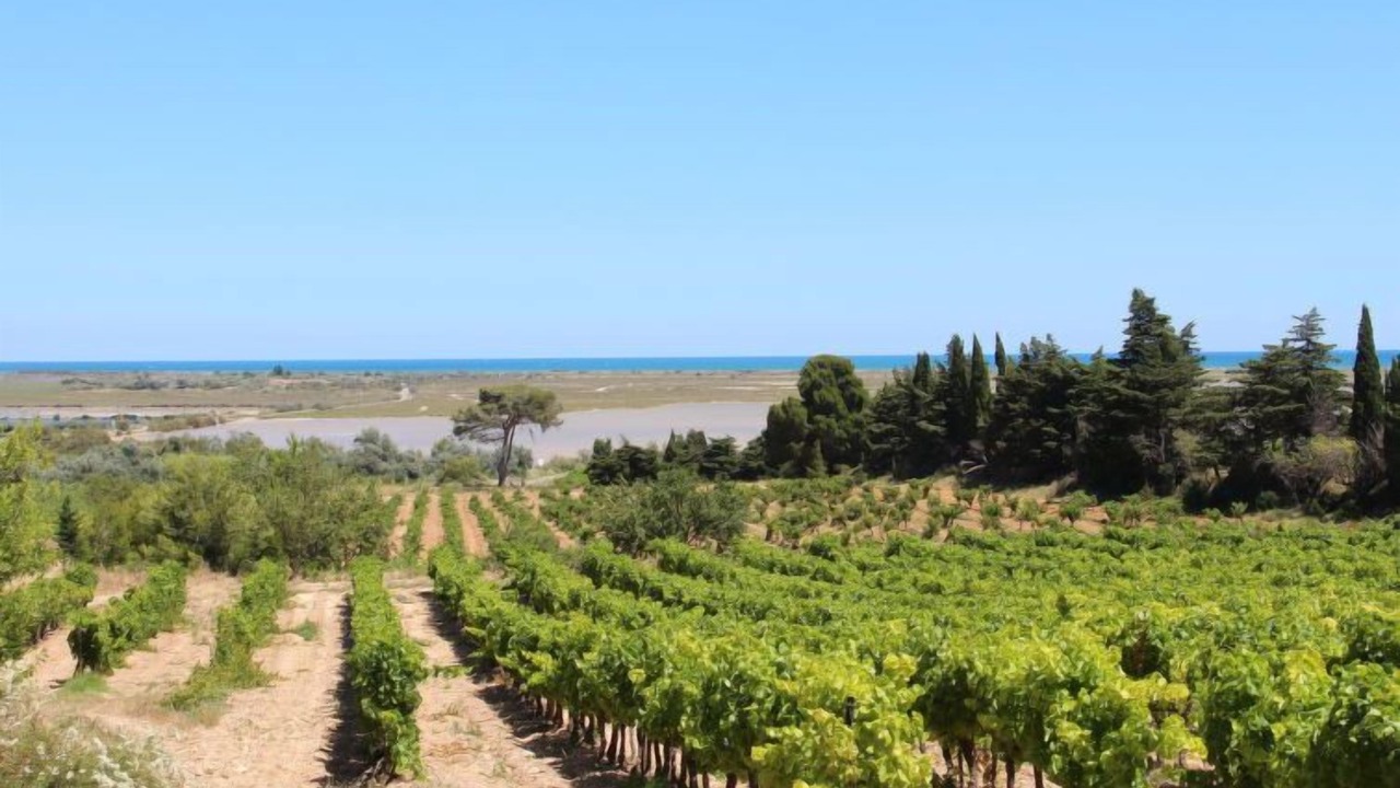 Photo of Others in Fleury