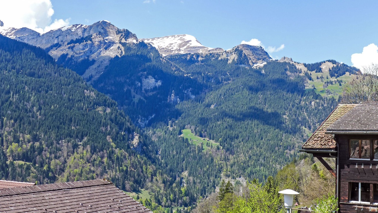 Photo of Others in Wengen