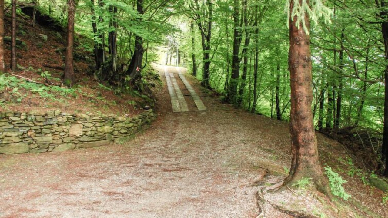 Photo of Outdoor in Bellinzona