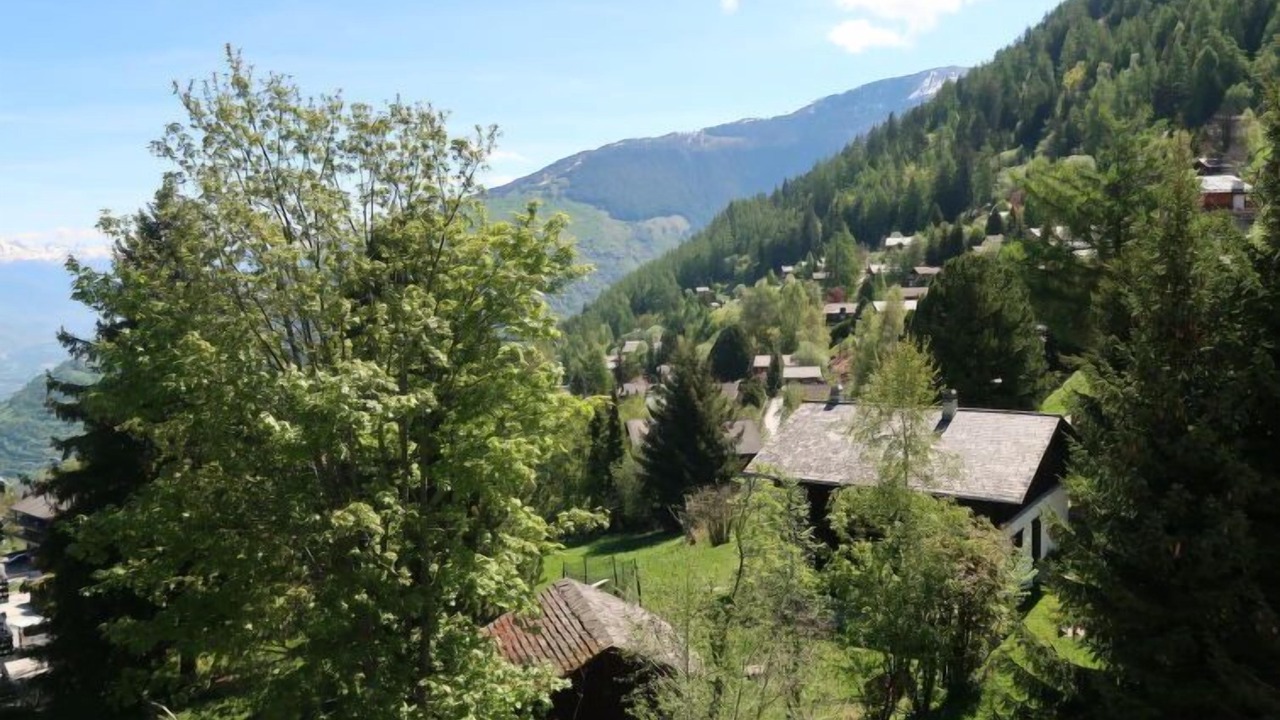 Photo of Others in Nendaz
