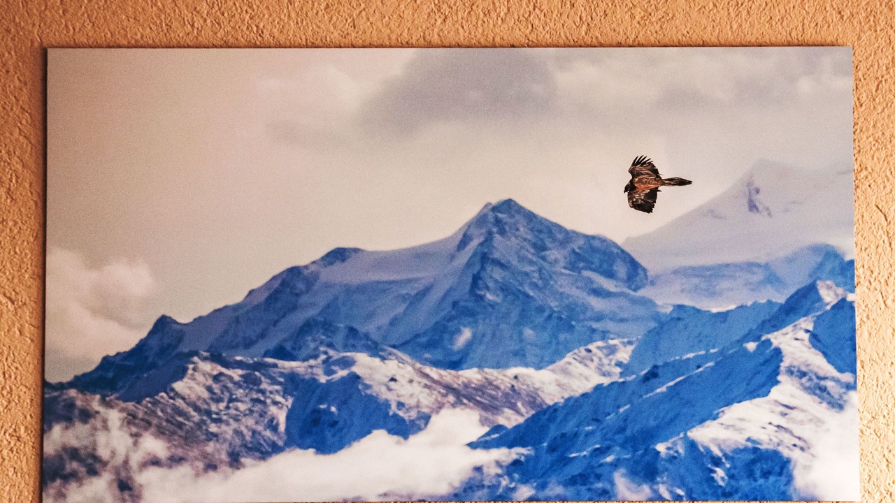 Photo of Others in Nendaz