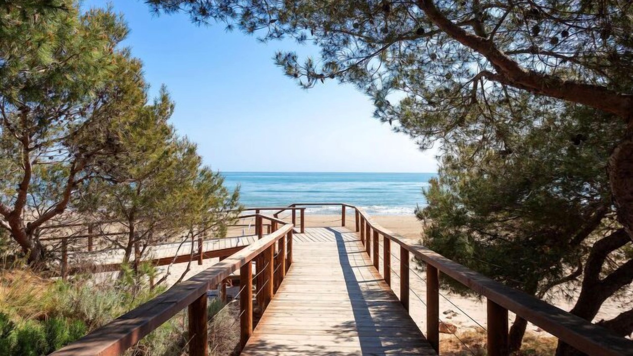 Photo of Others in Alcossebre