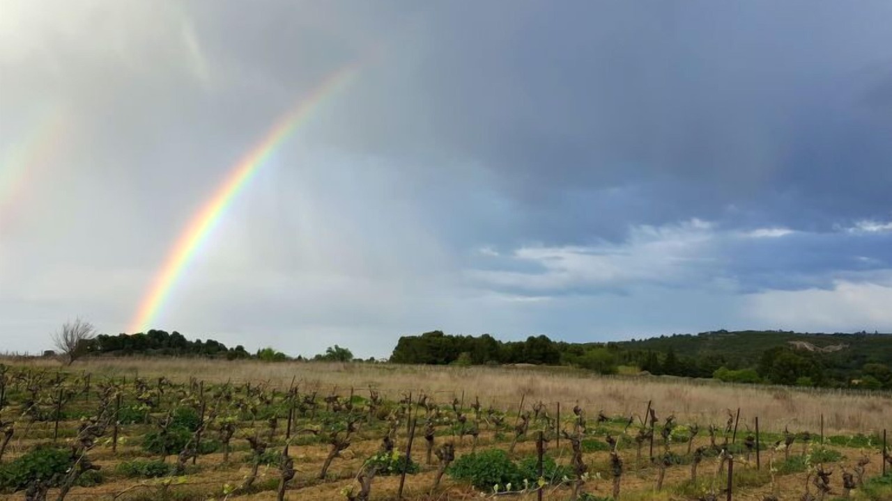 Photo of Others in Fleury