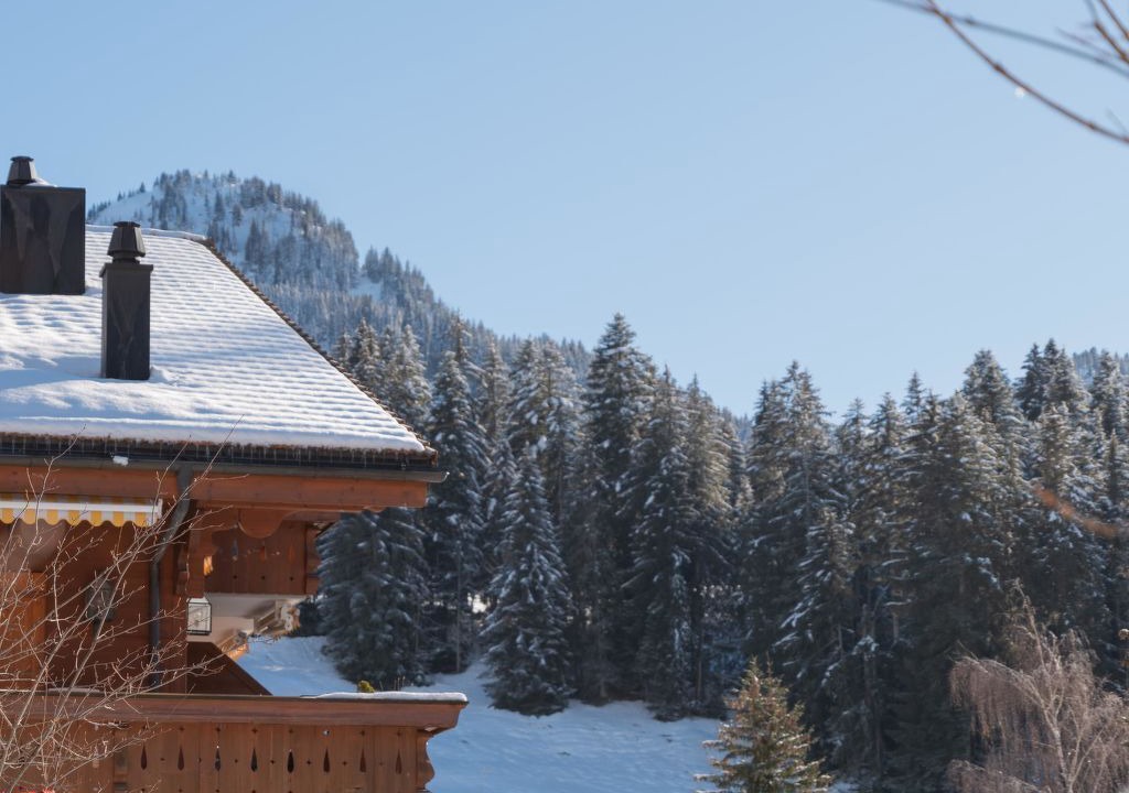 Photo of Outdoor in Saanenmoeser