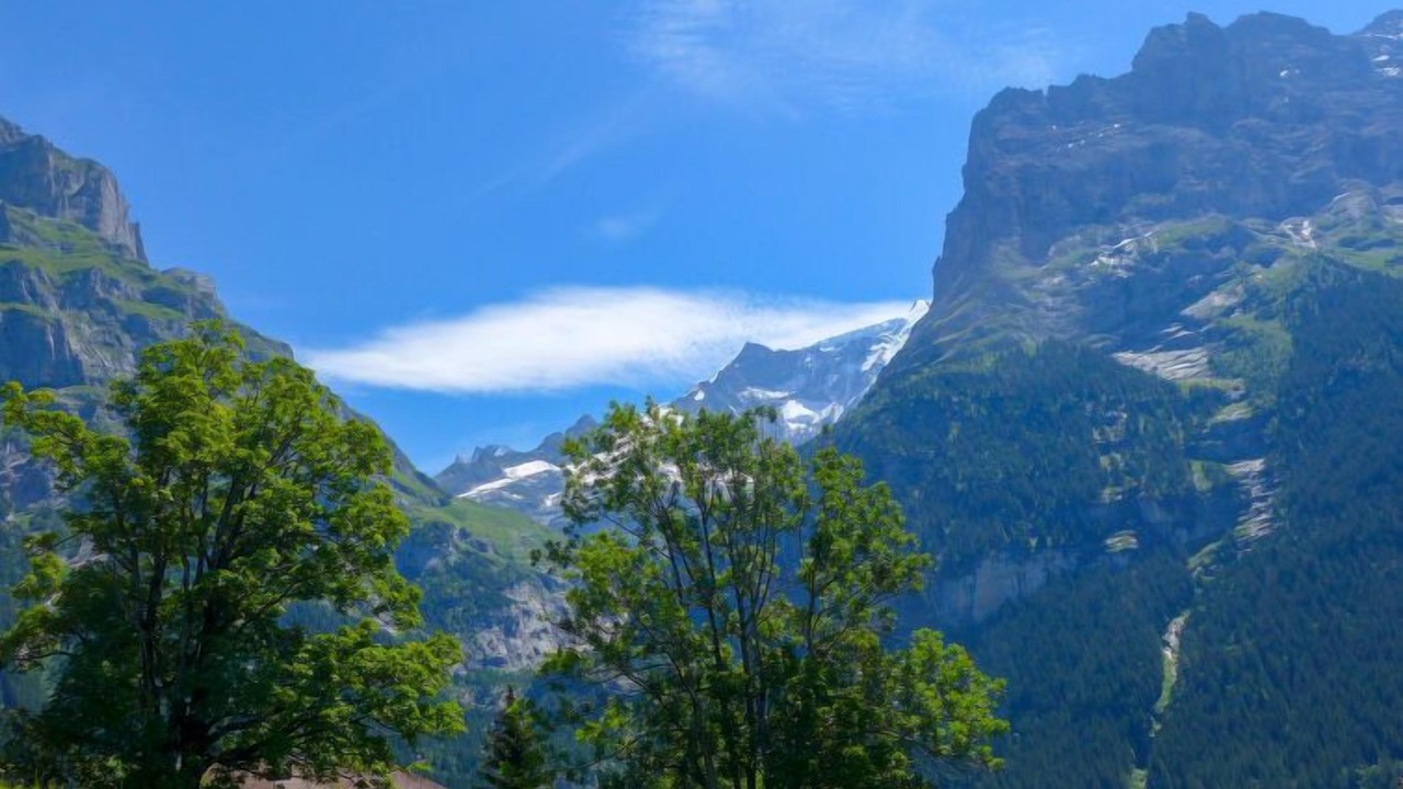 Photo of Others in Grindelwald