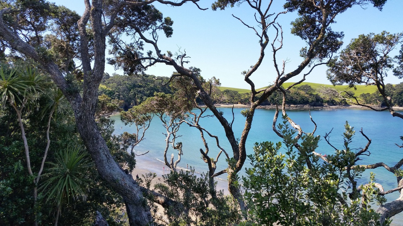 Photo of Others in Taiharuru