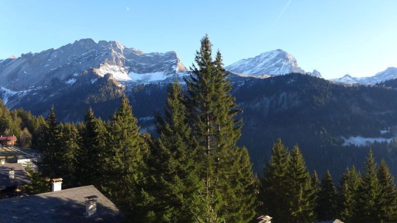 Photo of Others in Alpe des Chaux
