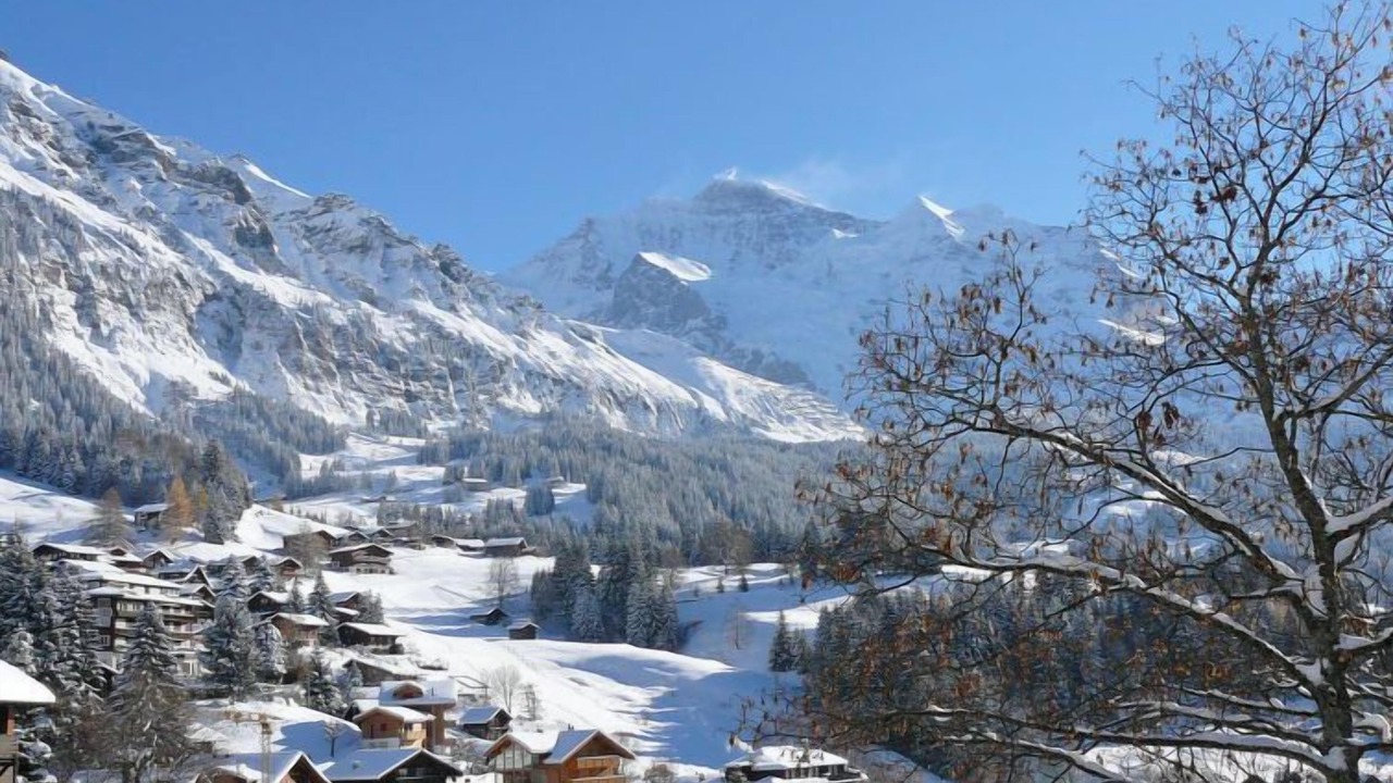 Photo of Others in Wengen