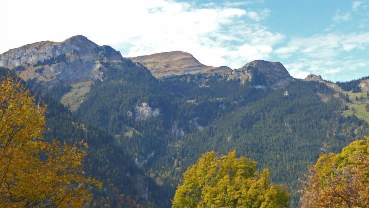 Photo of Others in Wengen